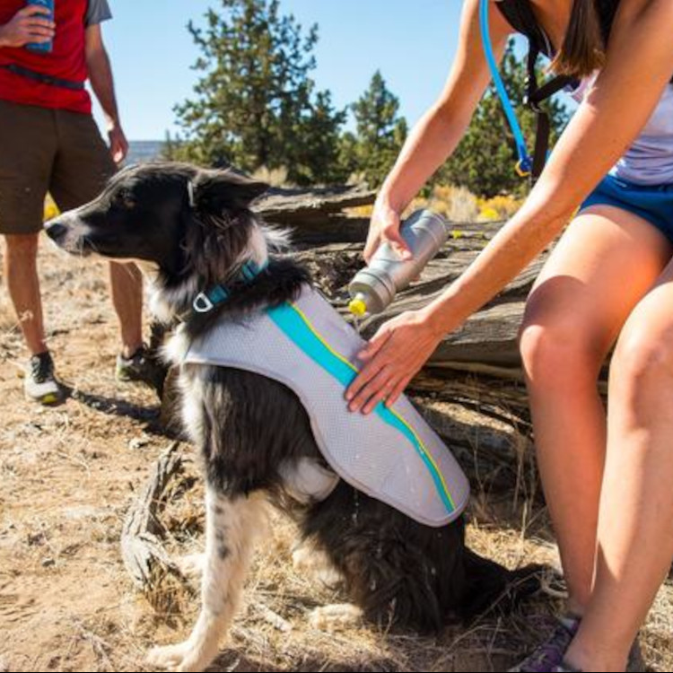 Ruffwear Swamp Cooler Dog Cooling Vest
